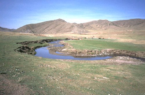 Mongolian River