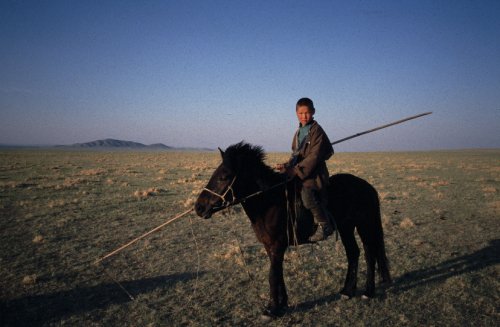 Horse Boy